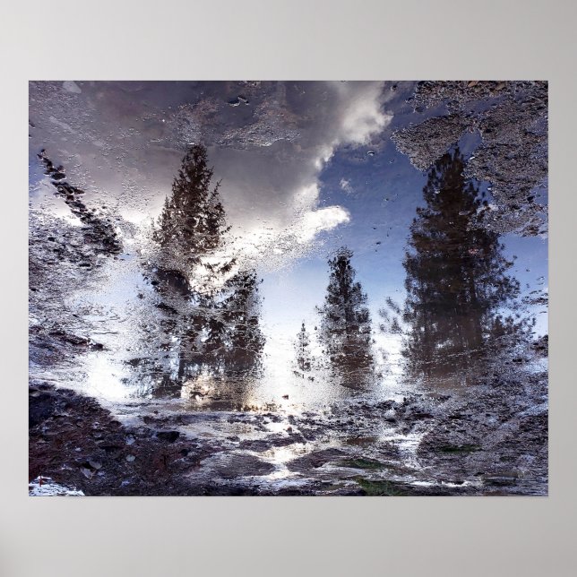 Poster Árvores refletindo na água da poça da chuva (Frente)
