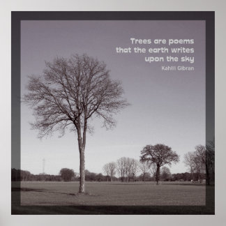 Poster Árvores são poemas