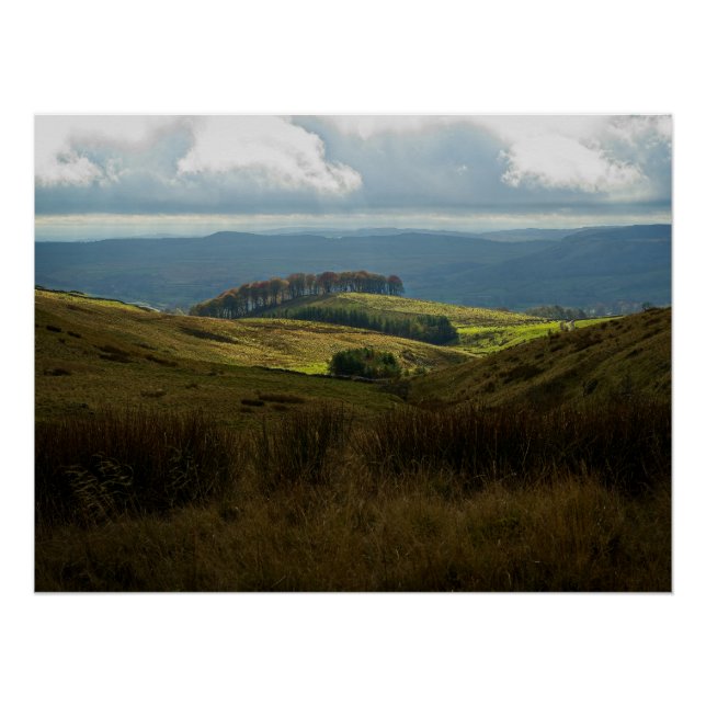 Pôster Árvores sentadas na colina iluminada pelo sol no i (Frente)