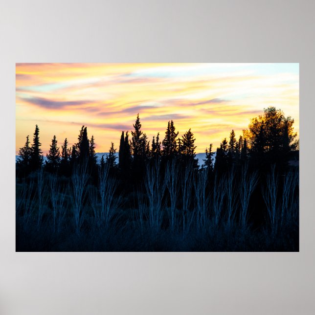 Poster Árvores Silhuetadas em Dusk (Frente)
