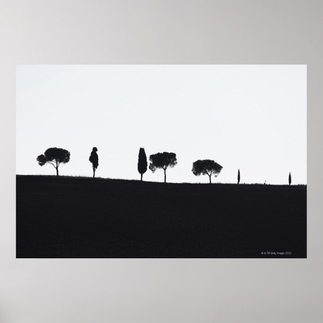 Poster Árvores típicas da Toscana (Frente)