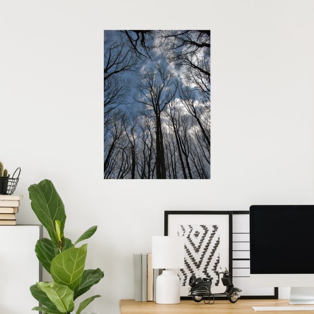 Poster Árvores Tulipa Poplar Céu Azul Nublado (Escritório em casa)
