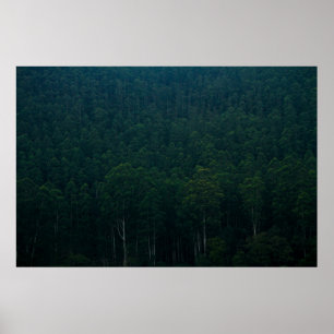 POSTER ÁRVORES VERDE ALTAS