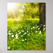 As alegrias da Primavera
