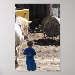 Pôster As Amish Girls e seus Cavalos