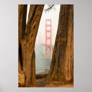 Poster As árvores de golden gate bridge de negligencia