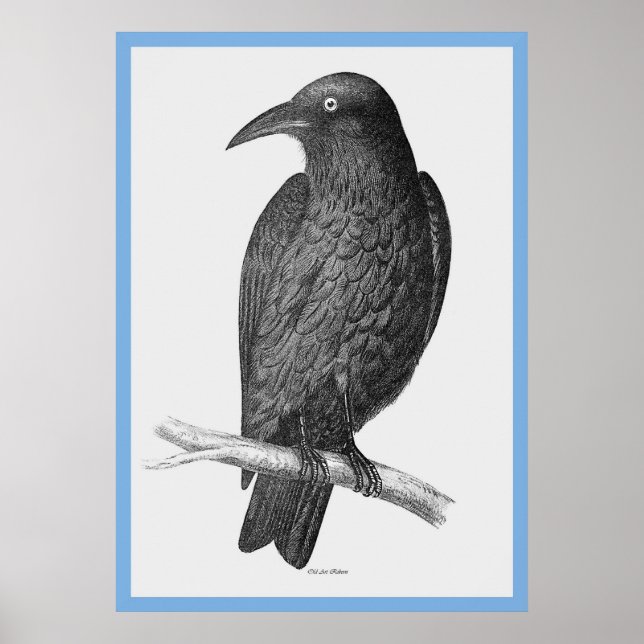 Pôster As "Aves da Austrália" de John Gould (Frente)