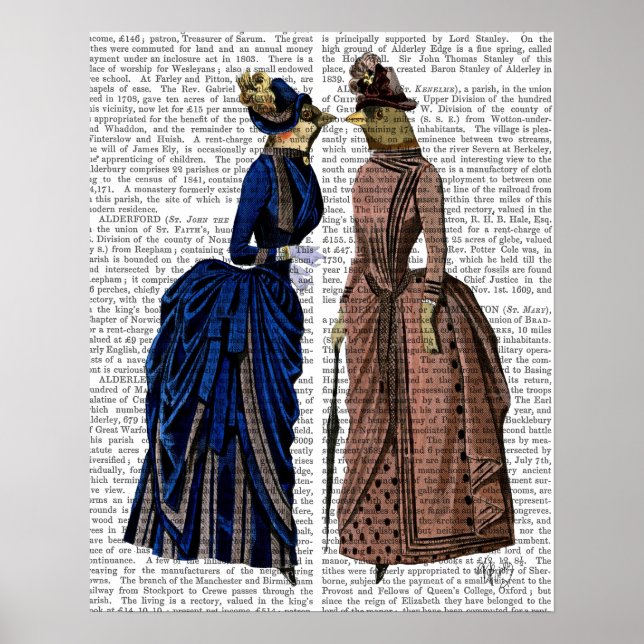 Pôster As Aves De Gossip (Frente)