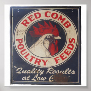 Poster As aves domésticas do vintage alimentam o sinal
