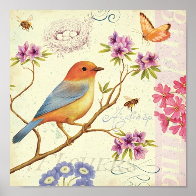 Poster As Aves e as Abelhas (Frente)