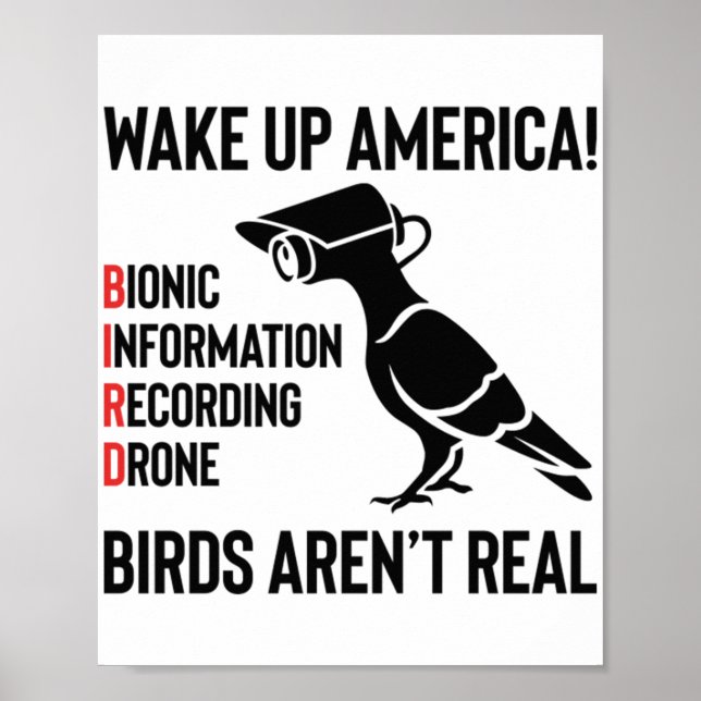 Poster As Aves Não São Verdadeiras - Se Voam, Espiam (Frente)