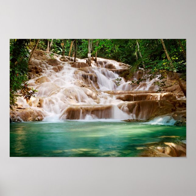 Poster As cataratas do rio Jamaica Dunn (Frente)