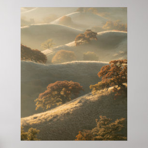 Poster As Colinas