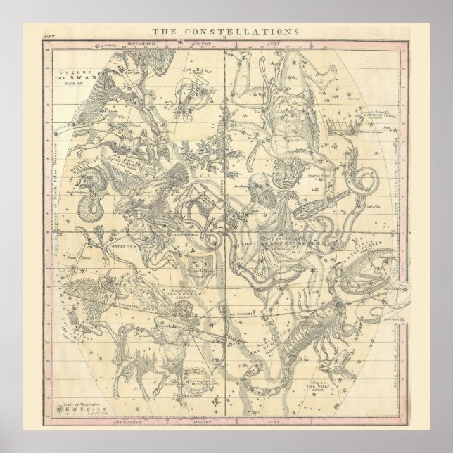 Poster As constelações (julho, agosto, setembro) (Frente)