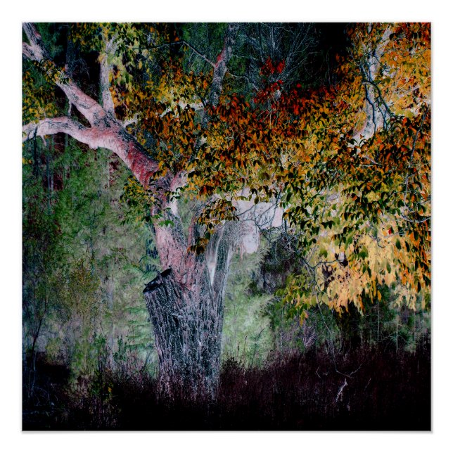 Pôster As Cores da Queda... (Frente)