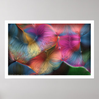 Pôster As Cores Do Cabelo