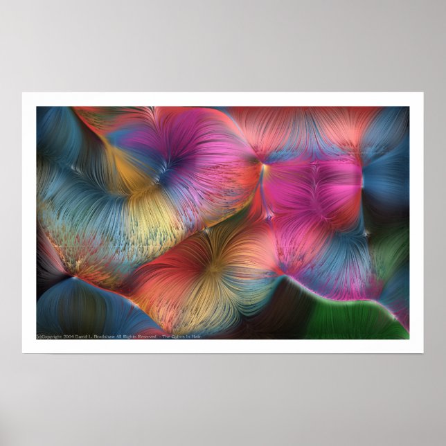 Pôster As Cores Do Cabelo (Frente)