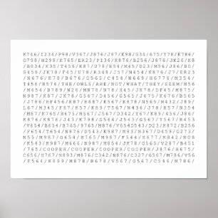 Poster As Corujas Não São O Que Parecem.