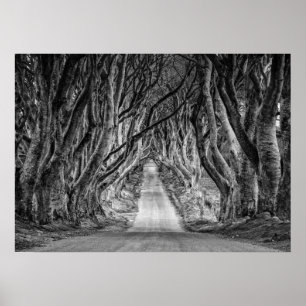 POSTER AS COSTAS ESCURAS, CO. ANTRIM, IRLANDA NORTE