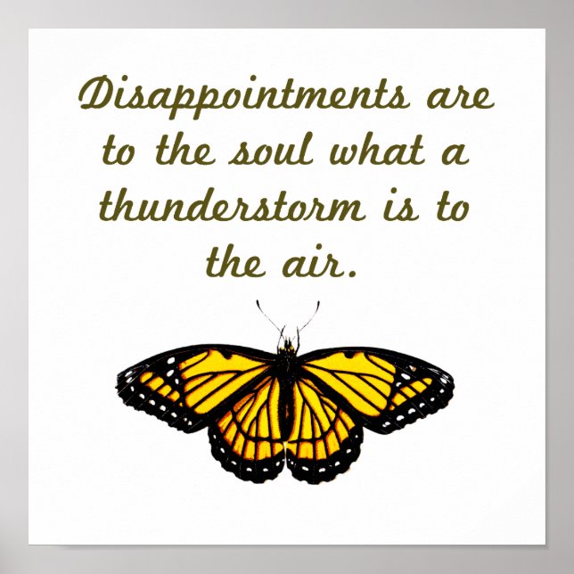 Poster As Desilusões São Para A Alma (Frente)