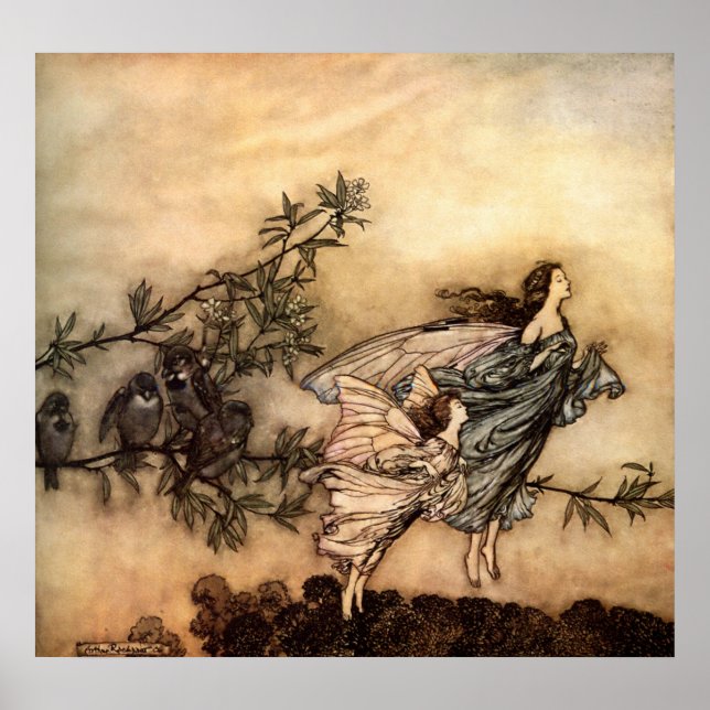 Poster As fadas têm os punhos com as aves (Frente)