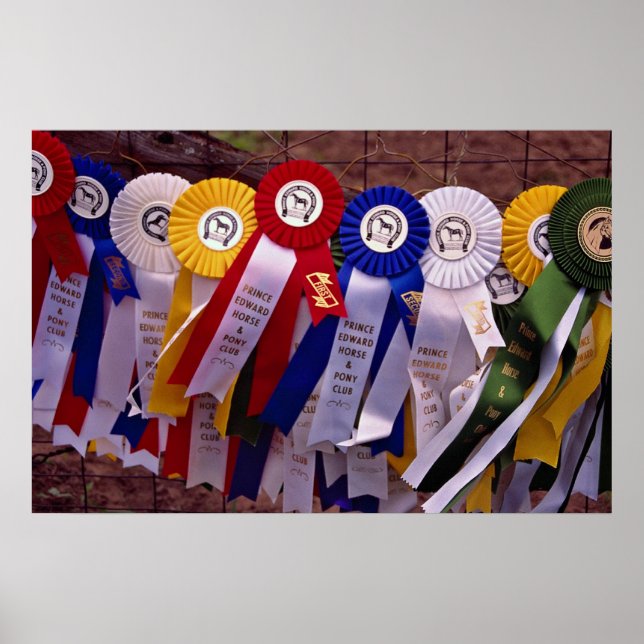 Pôster As fitas (Frente)