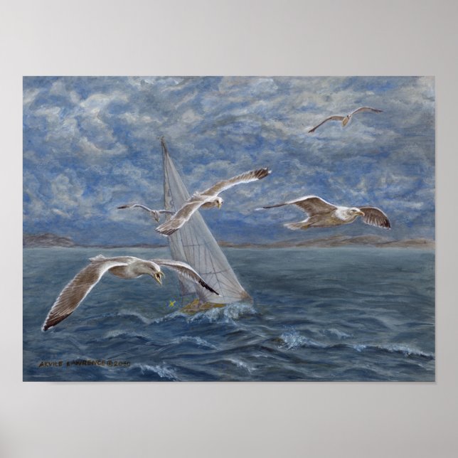 Pôster As gaivotas lideram o caminho (Frente)