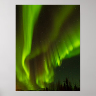 Poster As Luzes do Norte Fairbanks, Alasca