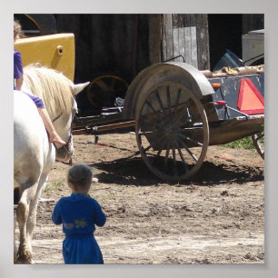 Pôster As meninas de Amish e seu cavalo