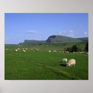 Poster As montanhas Quiraing, Ilha de Skye, Highlands,