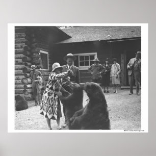 Poster As mulheres alimentando ursos.