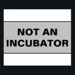 Poster As mulheres não são pessoas<br><div class="desc">Não é uma incubadora. A simples mensagem de que as pessoas com úteros não são incubadoras. Podemos ter sido nasceres de uma incubadora, mas não somos incubadoras e não somos apenas incubadoras. Pessoas que podem engravidar são pessoas, não incubadoras. Codificar Roe deveria ser o chão dos direitos de saúde das...</div>