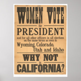 Pôster As Mulheres Votam Lado A Lado (1873A)