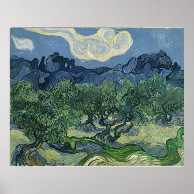 Pôster As Oliveiras por Vincent Van Gogh (Frente)