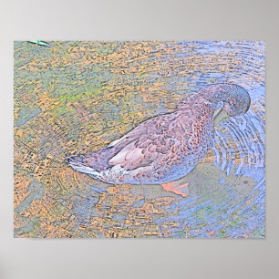 Poster As ondulações