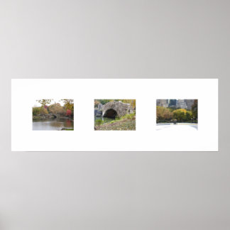 Pôster As Pontes Em Cor