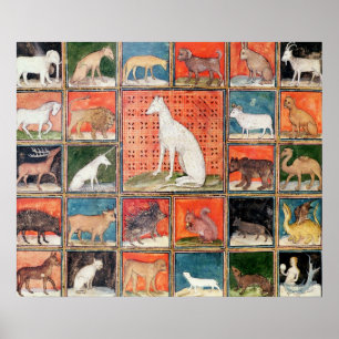 Pôster As propriedades dos animais: Os mamíferos