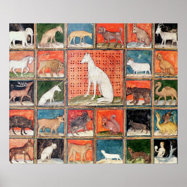 Pôster As Propriedades dos Animais: Os Mamíferos (Frente)
