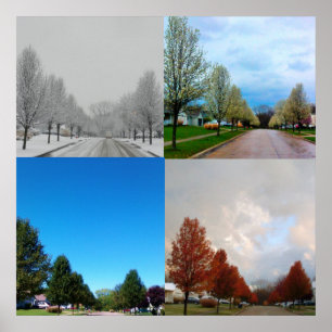 PÔSTER AS QUATRO ESTAÇÕES