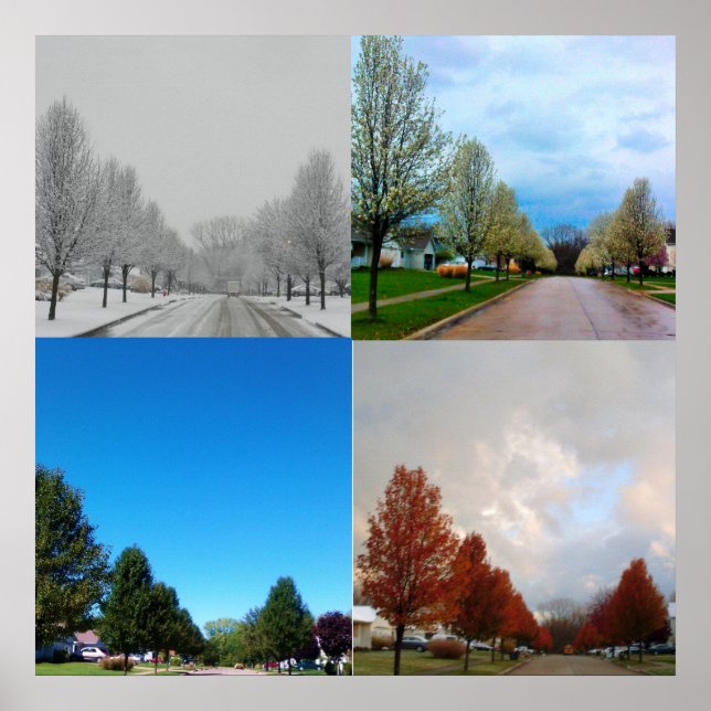 PÔSTER AS QUATRO ESTAÇÕES (Frente)