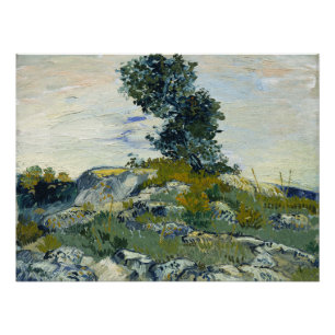 Pôster As Rochas Vincent van Gogh