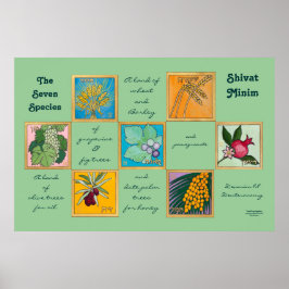 Pôster As Sete Espécies ou o Minim Shivat