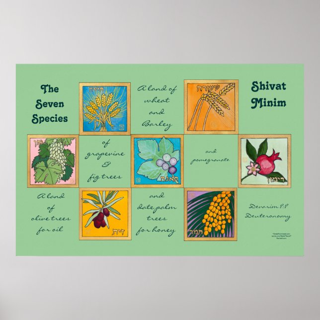Pôster As Sete Espécies ou o Minim Shivat (Frente)