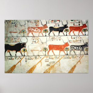 Pôster As sete vacas celestiais e o touro sagrado