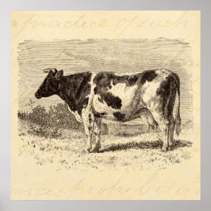 Poster As vacas retros da grande vaca holandesa dos 1800s