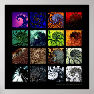 Poster As variações espirais