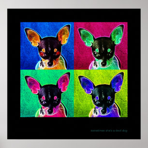 Pôster às vezes é um cão de diabo