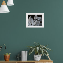 Poster Asa de Anjo Branca Prateada Planta Floral