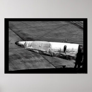 Pôster Asa elíptica - cabeça-quente