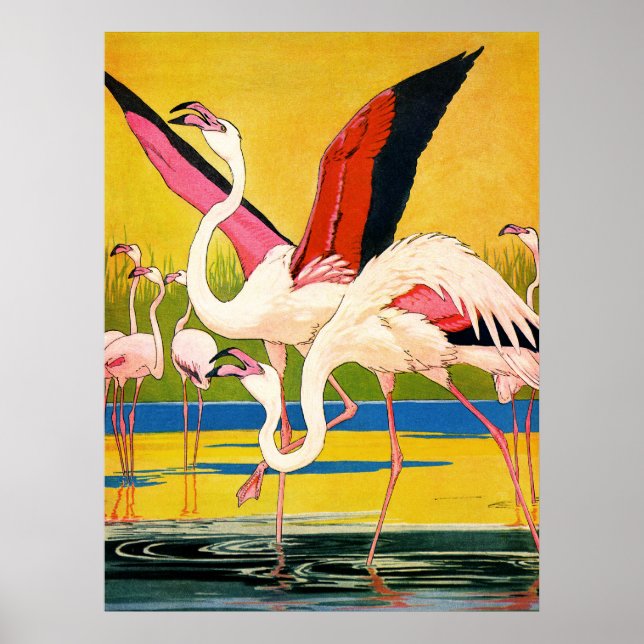 Pôster asas (Frente)